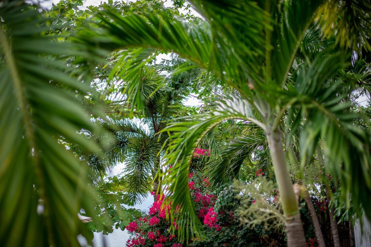 Soul Villas - Beachfront Private Pool Villas, Phuket Nature Retreat Panwa Beach Exterior foto